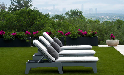 Ledge Legacy Chaise Cushion
